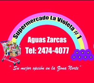 Logo VIOLETA #1_Baja